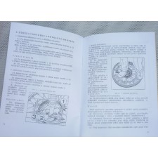 NÁVOD K OBSLUZE - ČZ 125/476 + 175/477